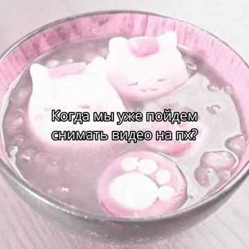 @plplpl