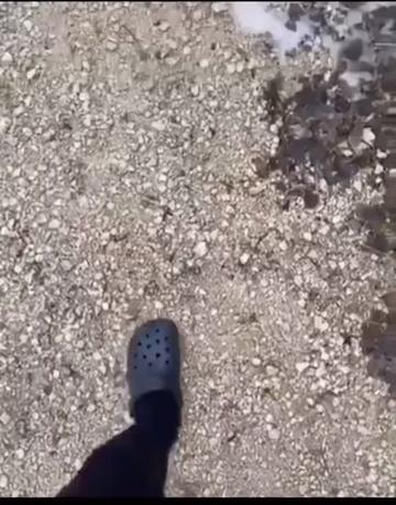 @MaxGlenn