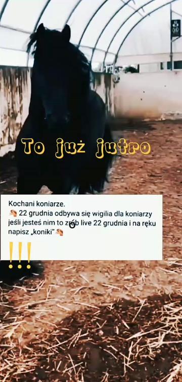 @Violetta3913