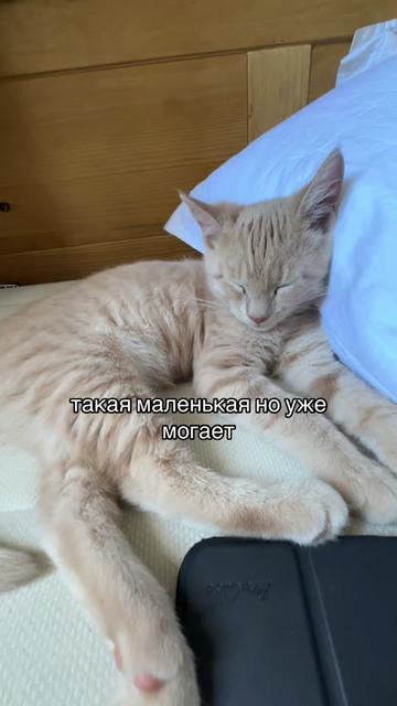@mamaнастя