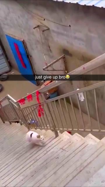 @Dose Of Memez