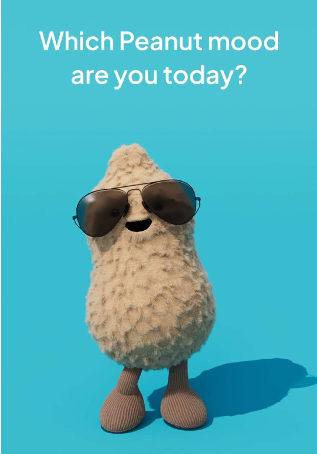 @Jellycat