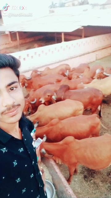 @Hardik Aal