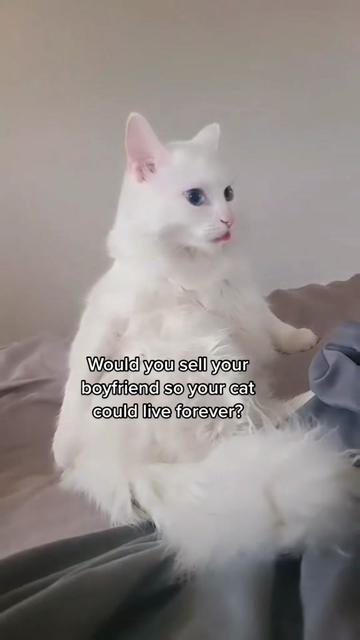 @Potato