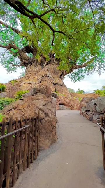 @AWalkInTheDlandPark