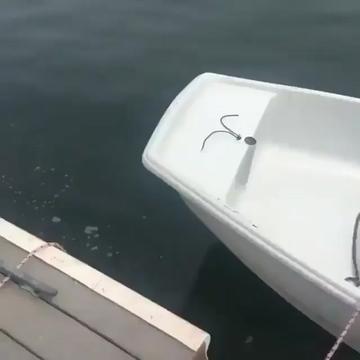 @Ovi