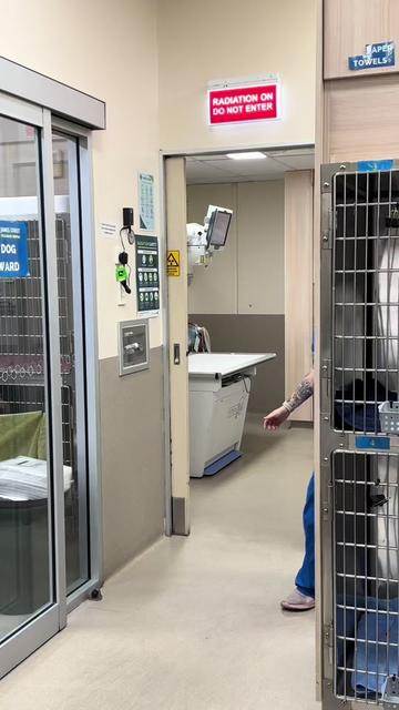 @James Street Vet