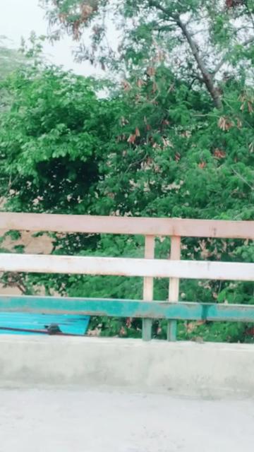 @jinumasar