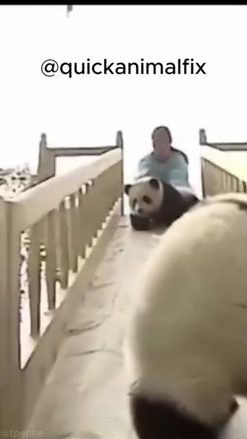 @quickanimalfix