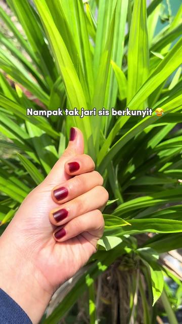 @atikhnan