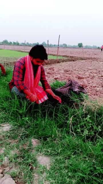 @shahil singh.045204