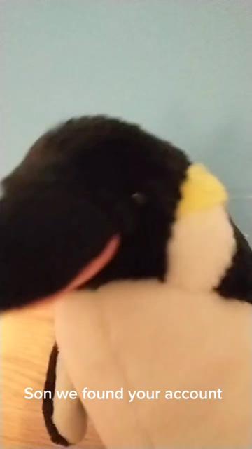 @ThePenguinRob