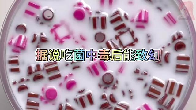 @:ᮨ້抓猫ᮨ༊⃝的鱼᭄�ᮨ⸙