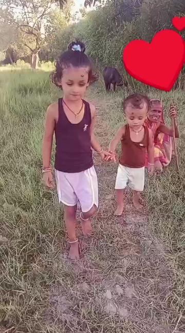 @Shekhar Yadav