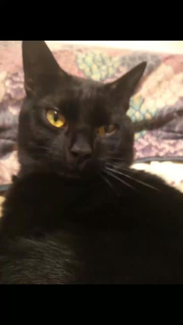 @😻👻☠Becca🕯🔮🙀