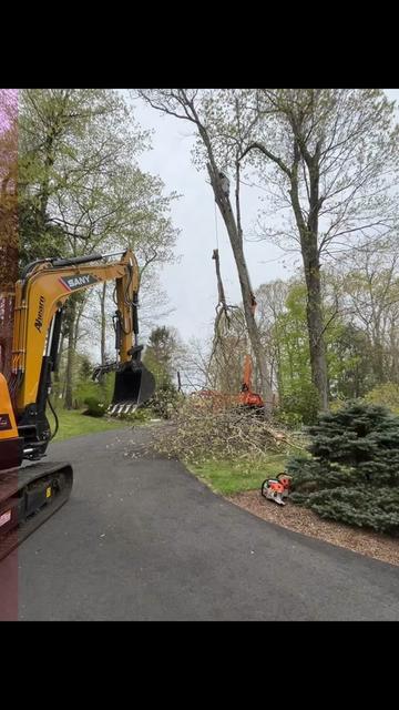@Chads Tree Service