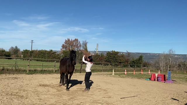 @Horsewoman Trip