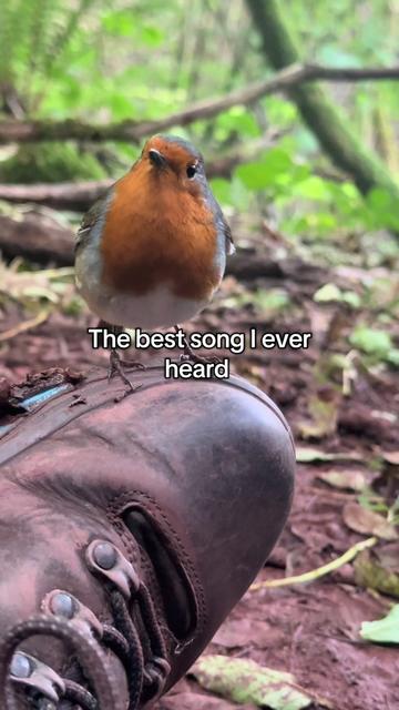 @Emma Hunt Music 🎵🦓