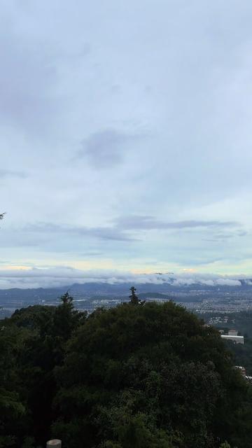 @_shixle