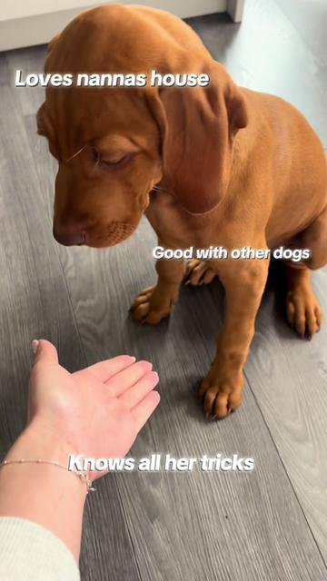 @LittleMissIndie