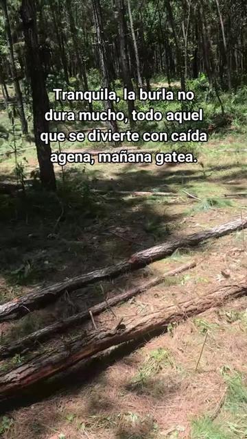 @La cubana Oficial