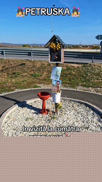 @Dany negru
