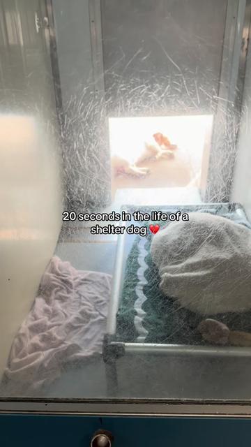 @myTinypurpose