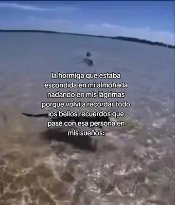 @𝑨𝒍𝒅𝒊𝒕𝒐