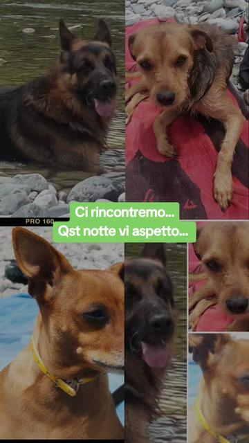 @Moni Monik