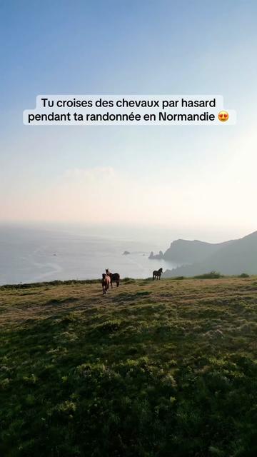 @Nancy Landreat Photographe