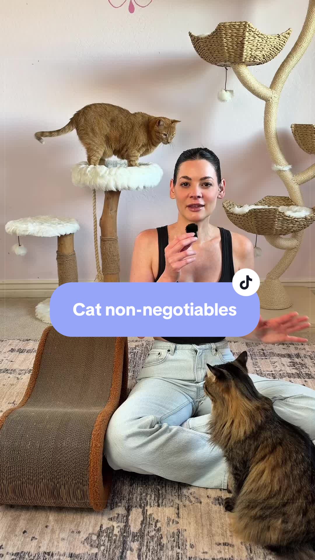 @Feminist Kitty | Cat Nutrition