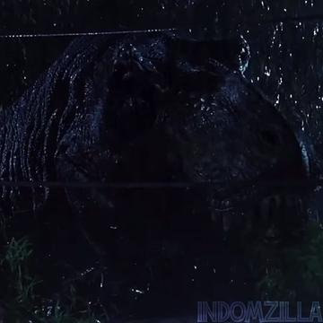@𝐼𝒩𝒟𝒪𝑀𝒵𝐼𝐿𝐿𝒜