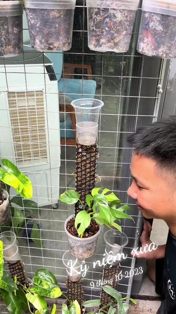 @Huy Kiểng Lá