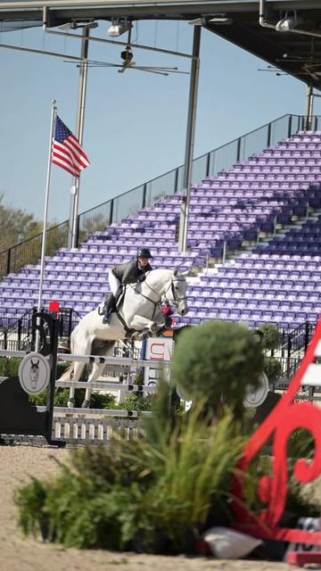 @Free Ride Equestrian