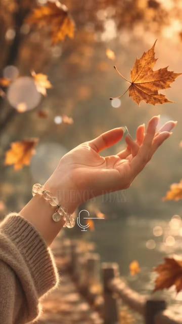 @Ana Fernandez8765