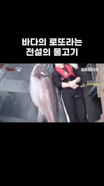 @EBS 다큐