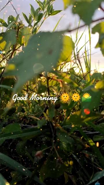 @ManjunathKannadiga