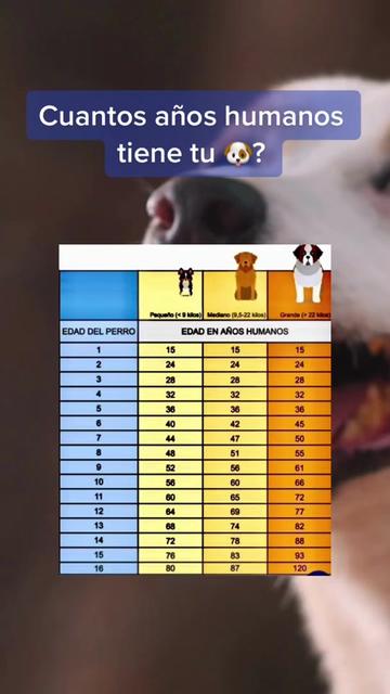 @mascotasfelices