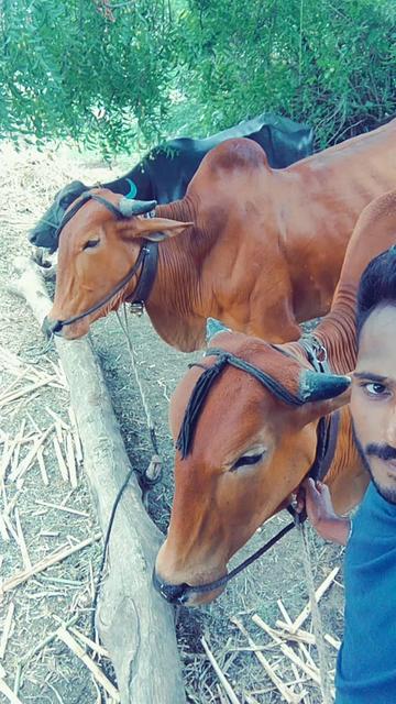 @भागवत आढाव