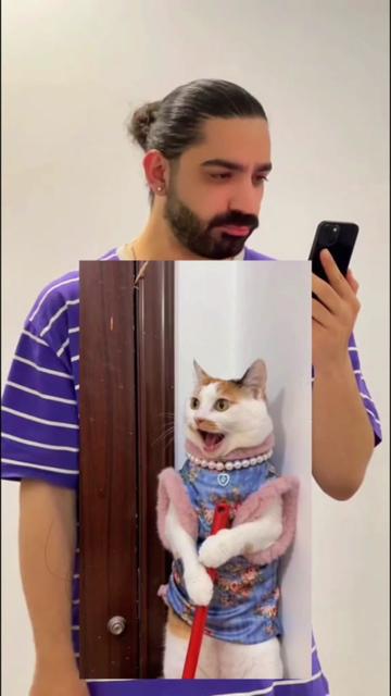 @Huahua