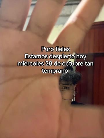 @Alexcastro