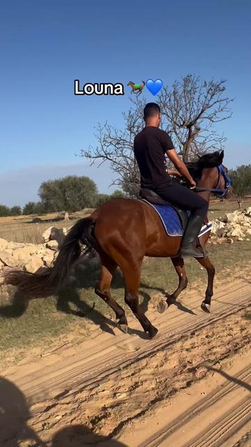 @Feres Ben Amor 🏇