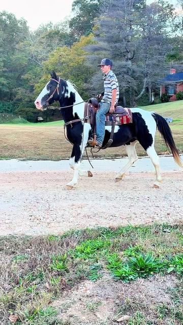 @Lucky D Ranch 🍀