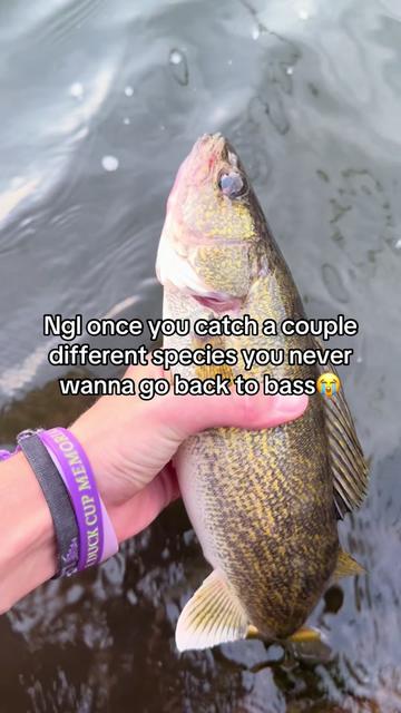 @FattBassFishing