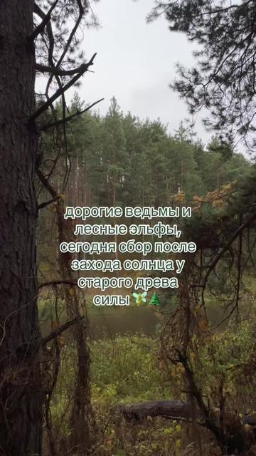 @ell_nature🏴