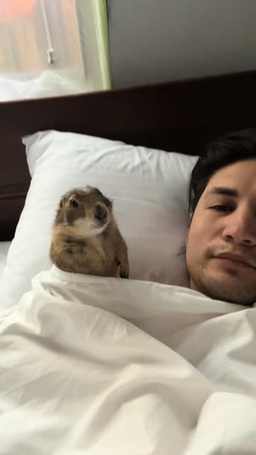 @Poppy the Prairie Dog