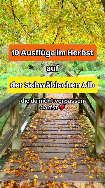 @Schwarzwald Pur