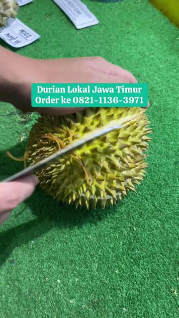 @Rumah Tamma Durian
