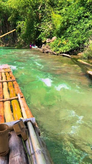 @mr_seal_tha_deal