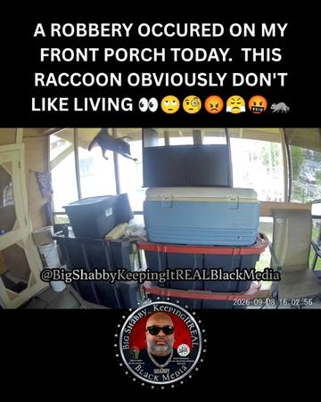 @BigShabbyKeepingItREALBlkMedia